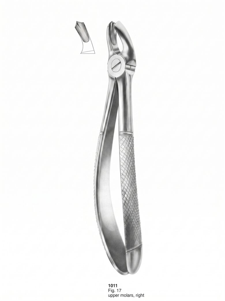 Extracting forceps English Pattern