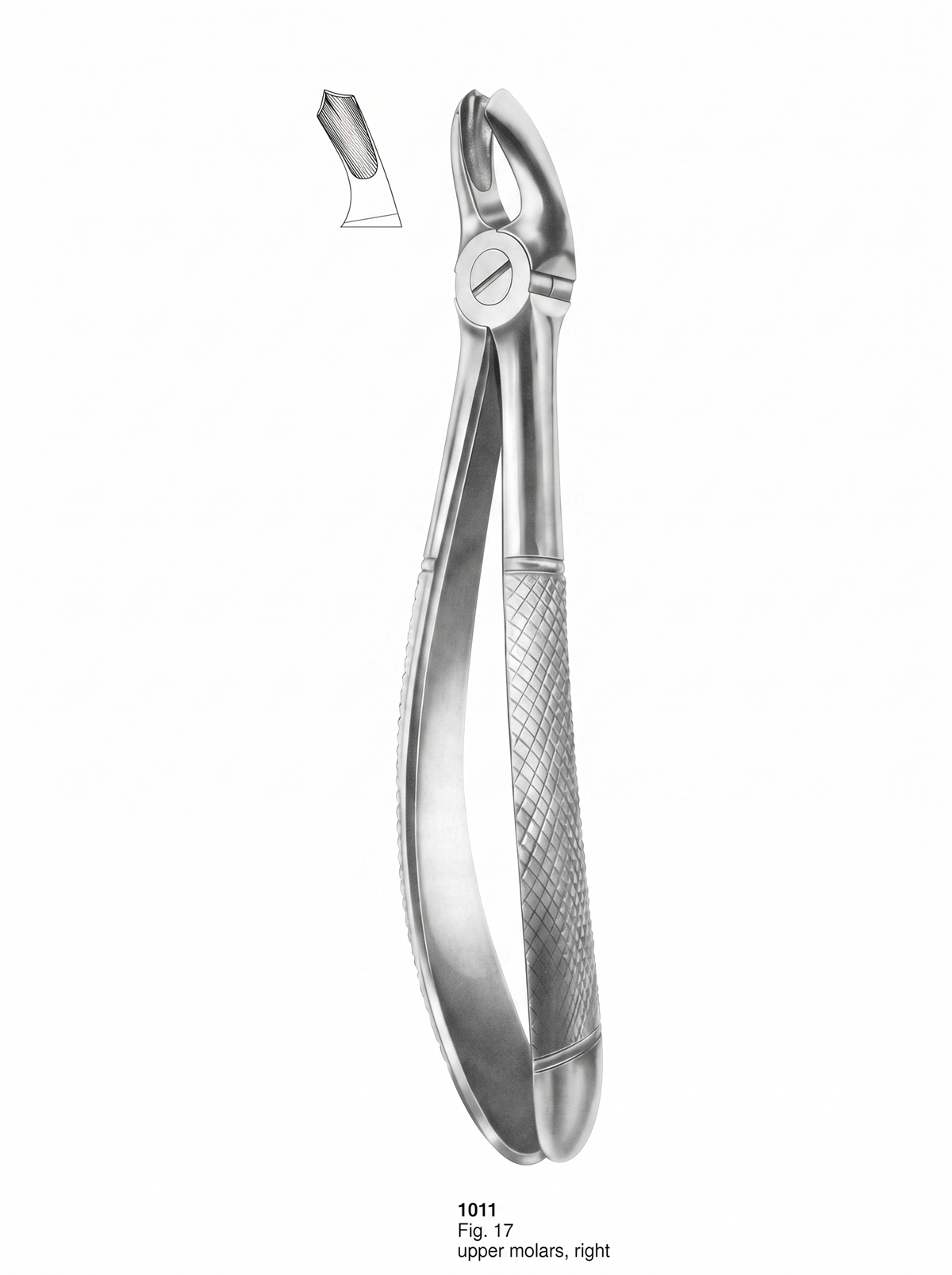 1011 Extracting forceps English Pattern