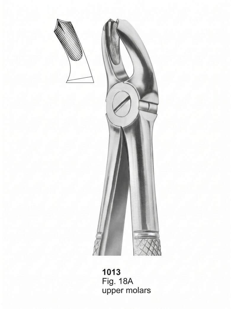 Extracting forceps English Pattern