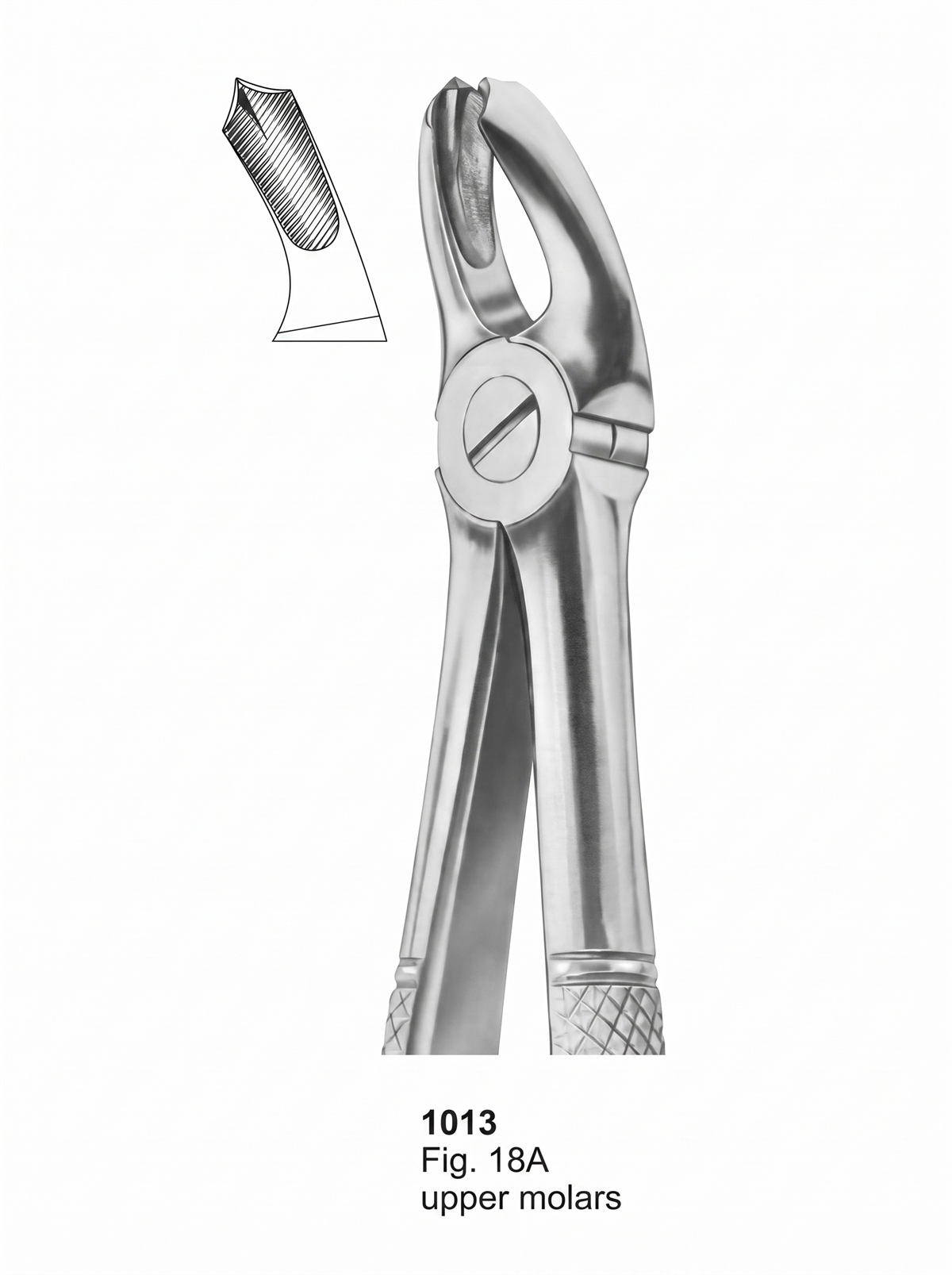 1013 Extracting forceps English Pattern