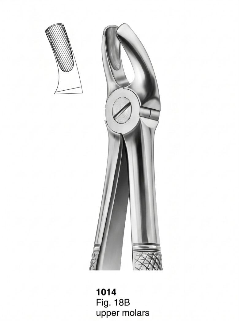 Extracting forceps English Pattern
