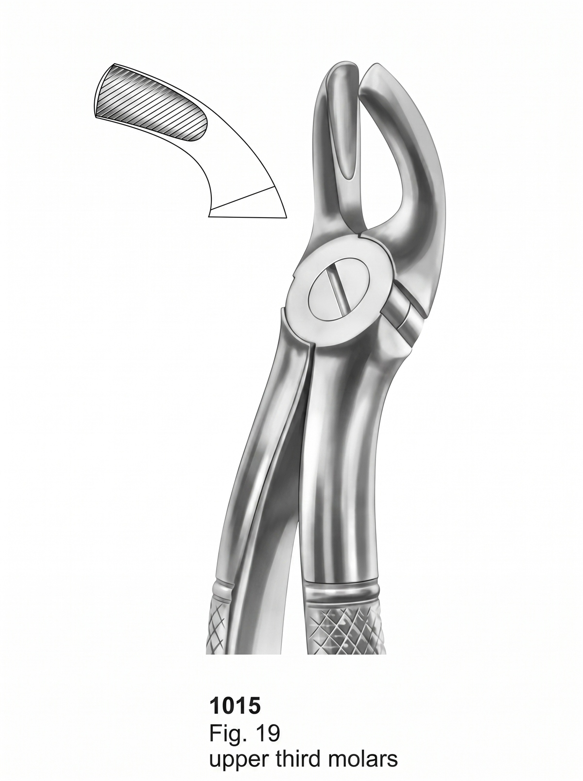 Extracting forceps English Pattern