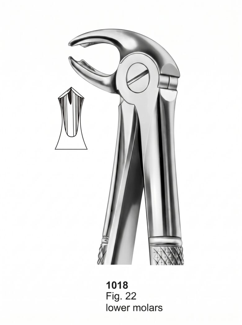 Extracting forceps English Pattern