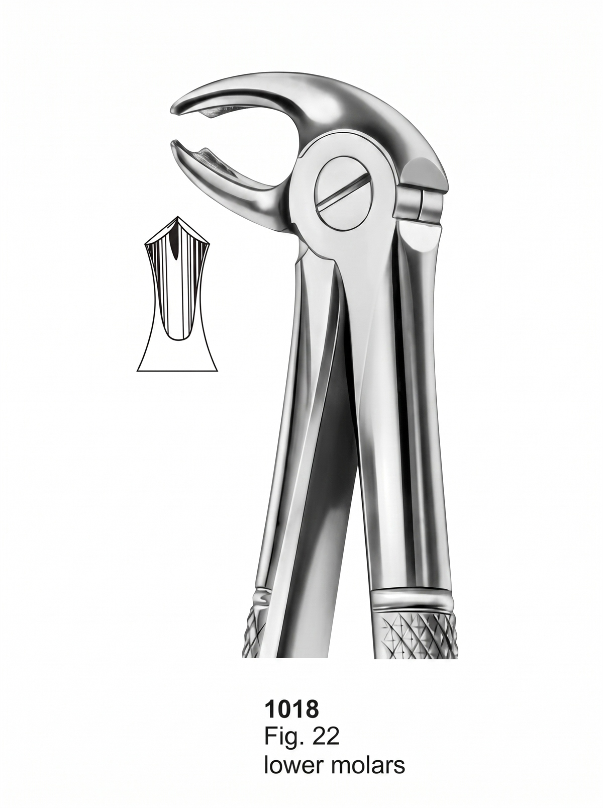 1018 Extracting forceps English Pattern