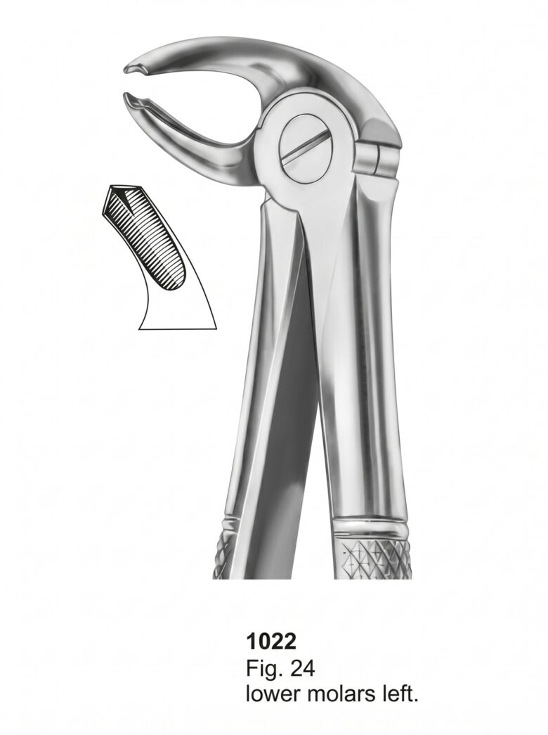 Extracting forceps English Pattern
