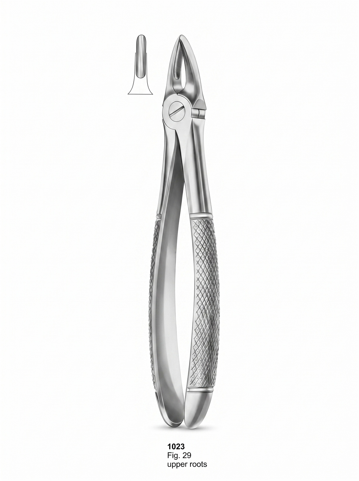 1023 Extracting forceps English Pattern