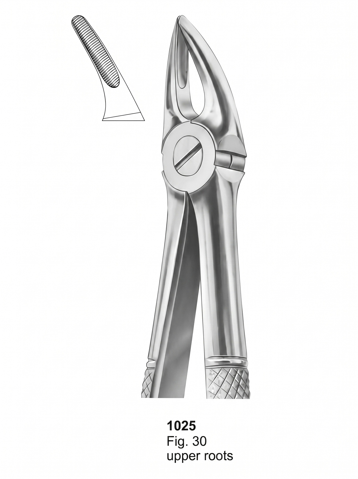 Extracting forceps English Pattern
