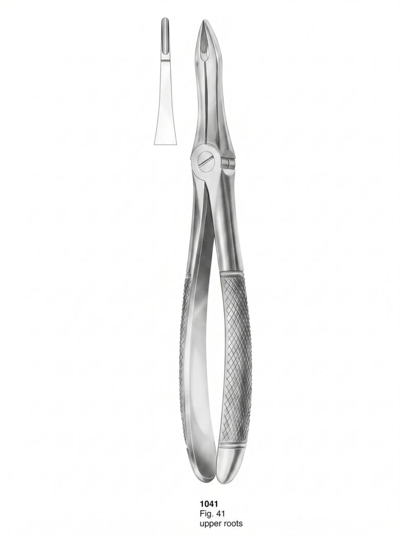 Extracting forceps English Pattern
