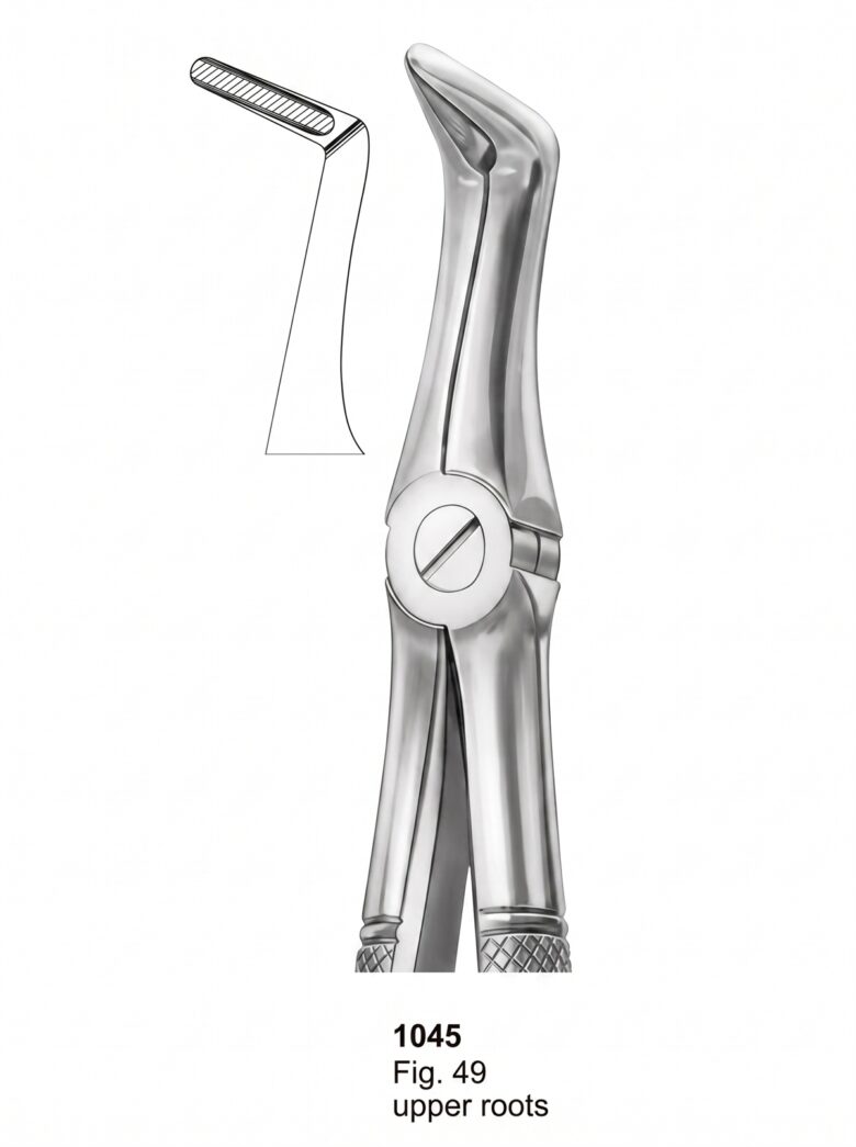 Extracting forceps English Pattern