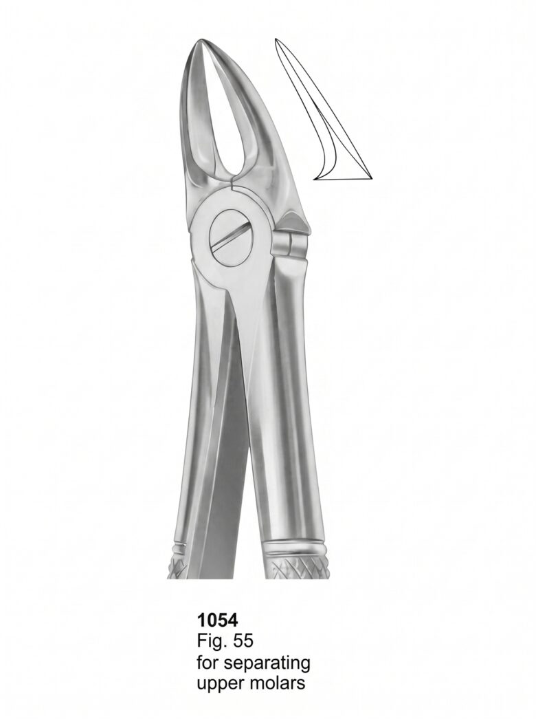 Extracting forceps English Pattern