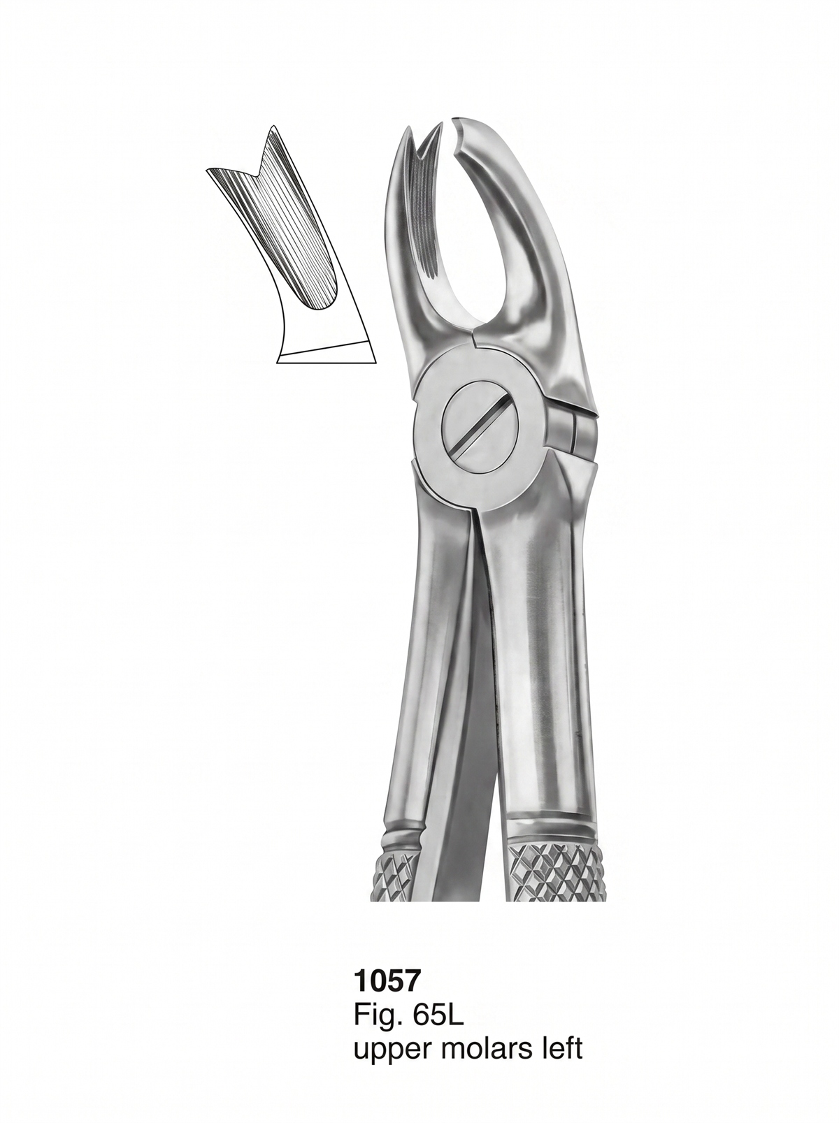Extracting forceps English Pattern