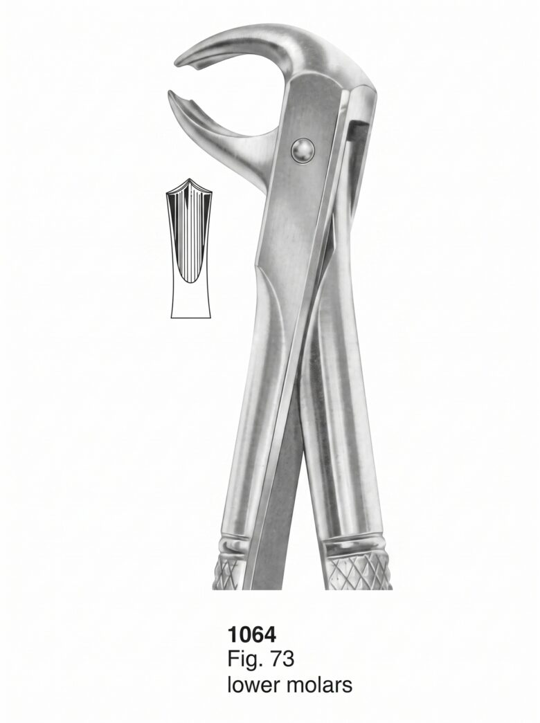 1064 Extracting forceps English Pattern