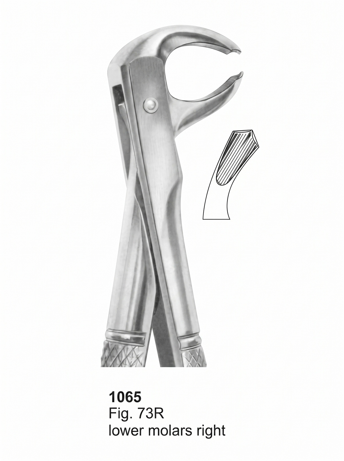 1065 Extracting forceps English Pattern
