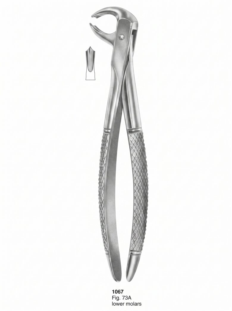 Extracting forceps English Pattern