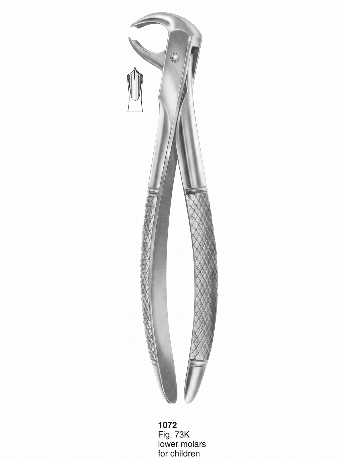 Extracting forceps English Pattern