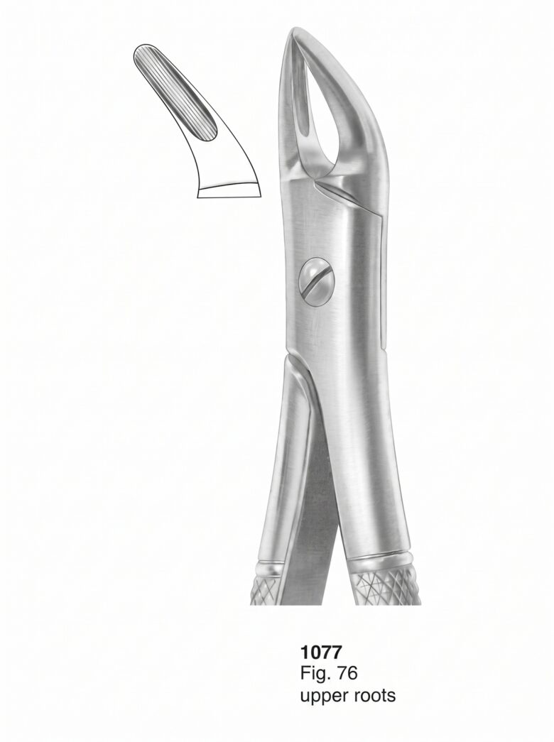 Extracting forceps English Pattern