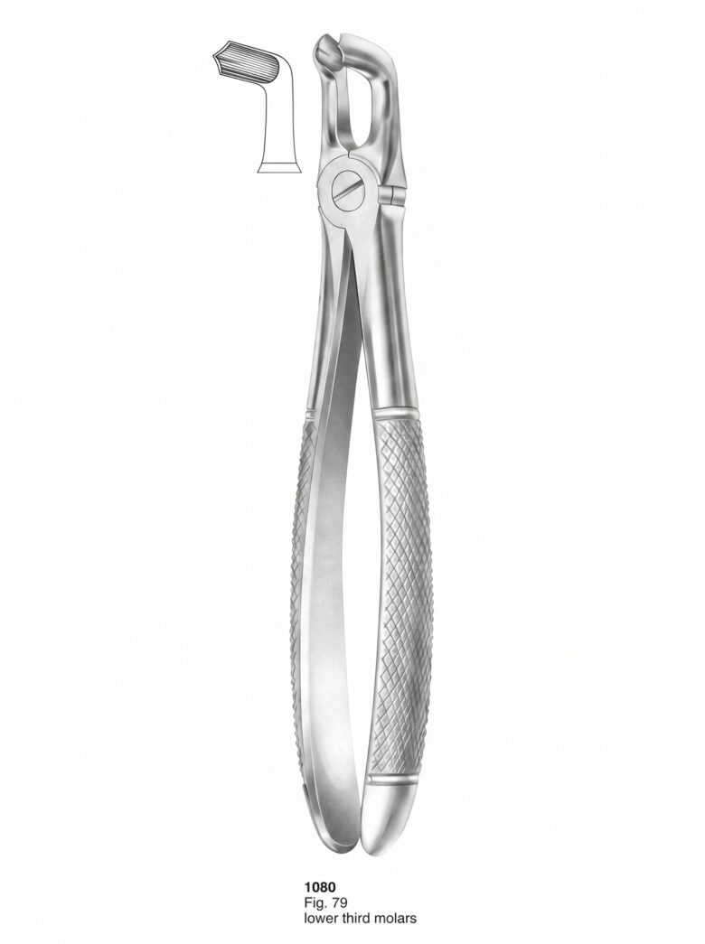 Extracting forceps English Pattern