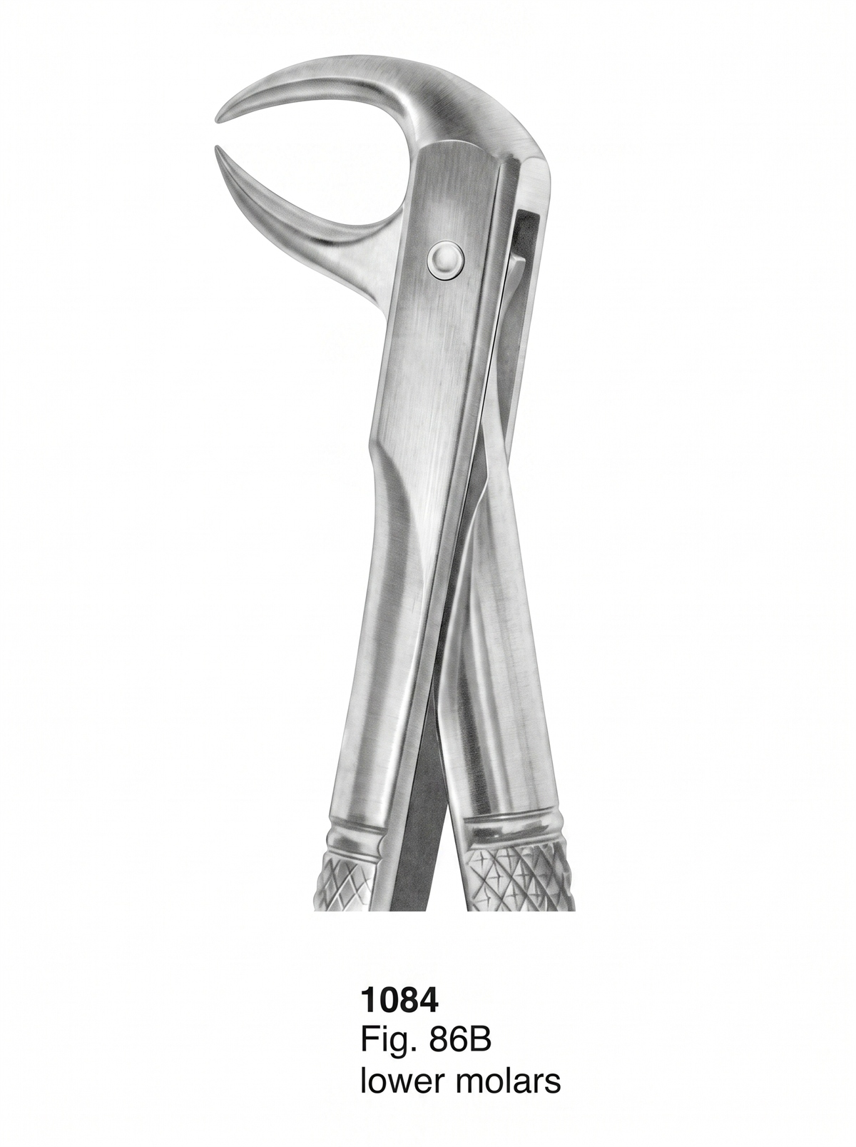 1084 Extracting forceps English Pattern