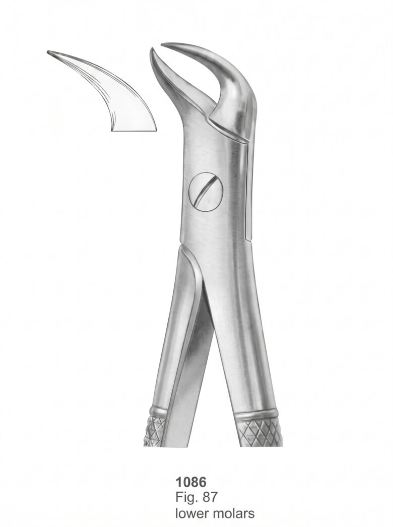 Extracting forceps English Pattern