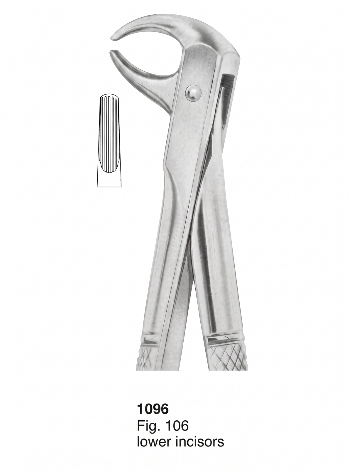 Extracting forceps English Pattern