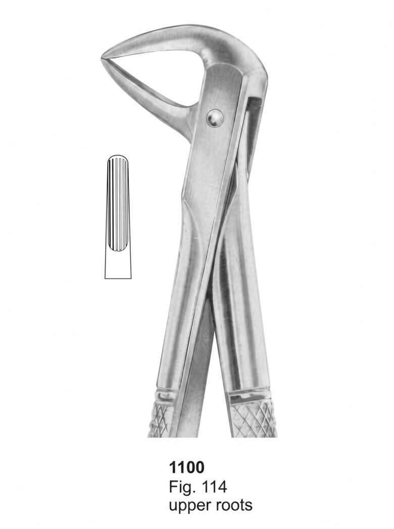 1100 Extracting forceps English Pattern