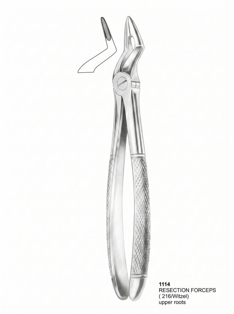 Wisdom Extracting Forceps