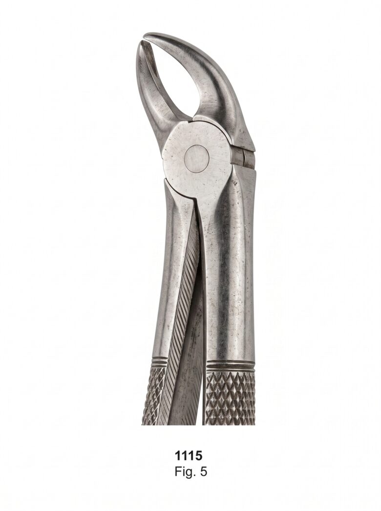 Extracting forceps English Pattern