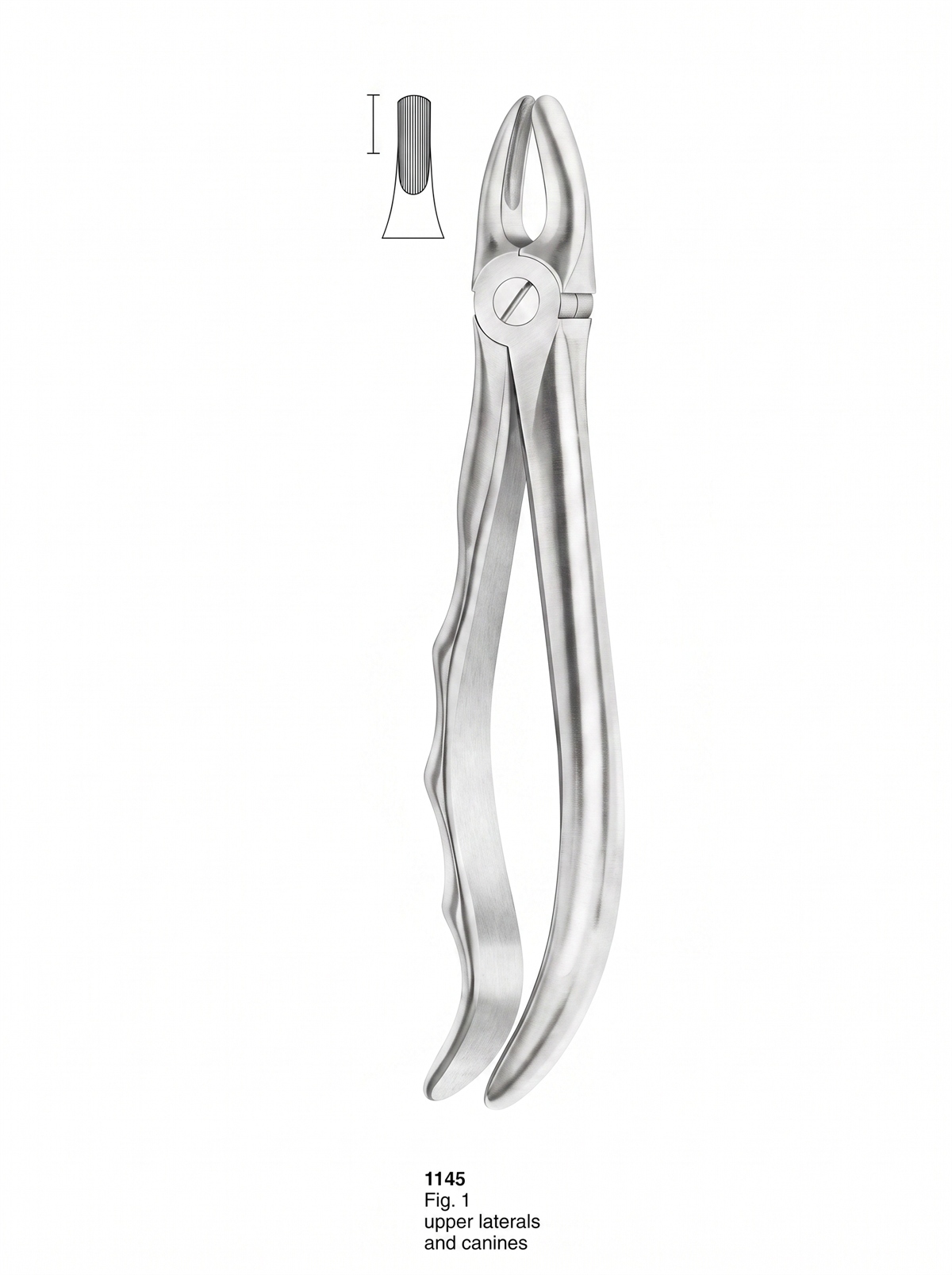 1145 Extracting Forceps With Fitting Handle