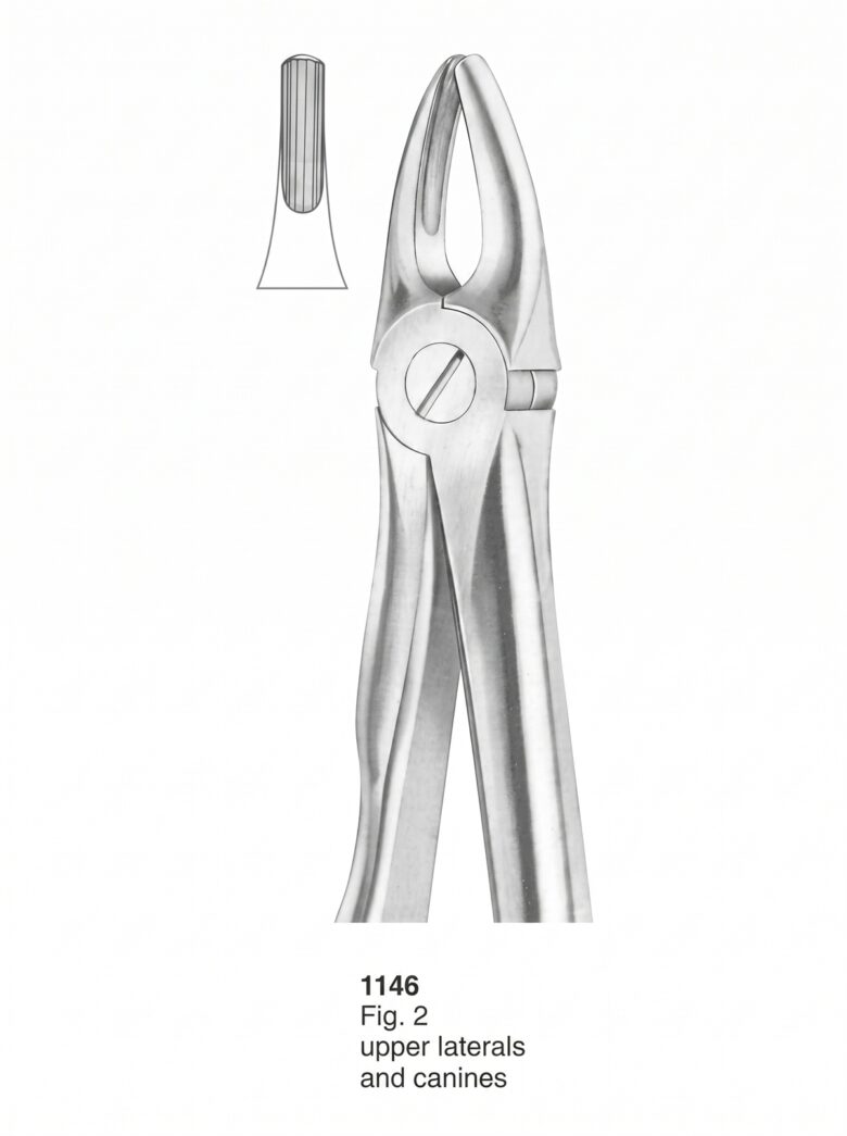 1146 Extracting Forceps With Fitting Handle