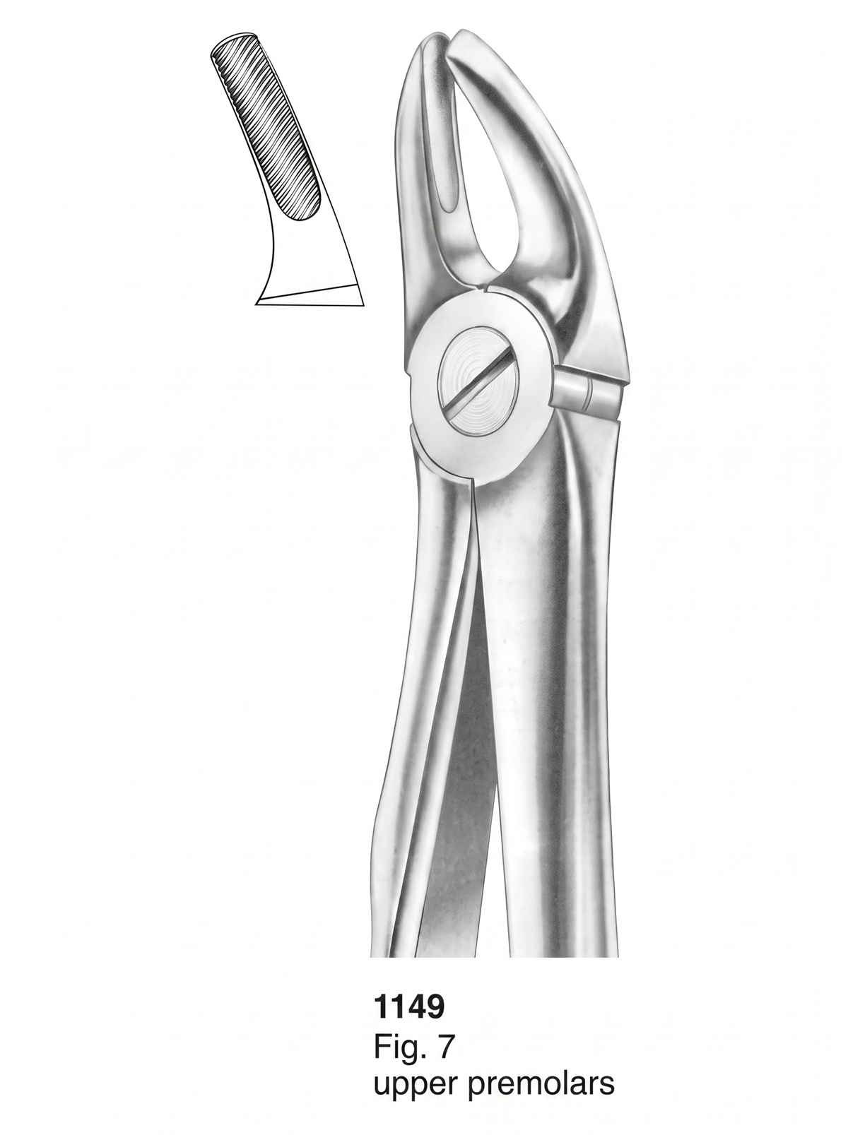 Extracting Forceps With Fitting Handle