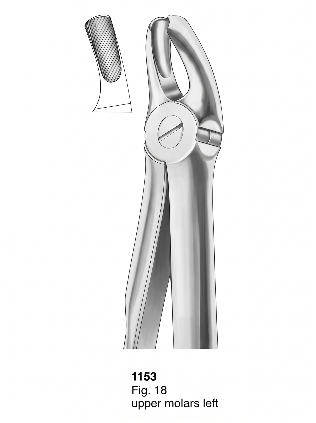 1153 Extracting Forceps With Fitting Handle