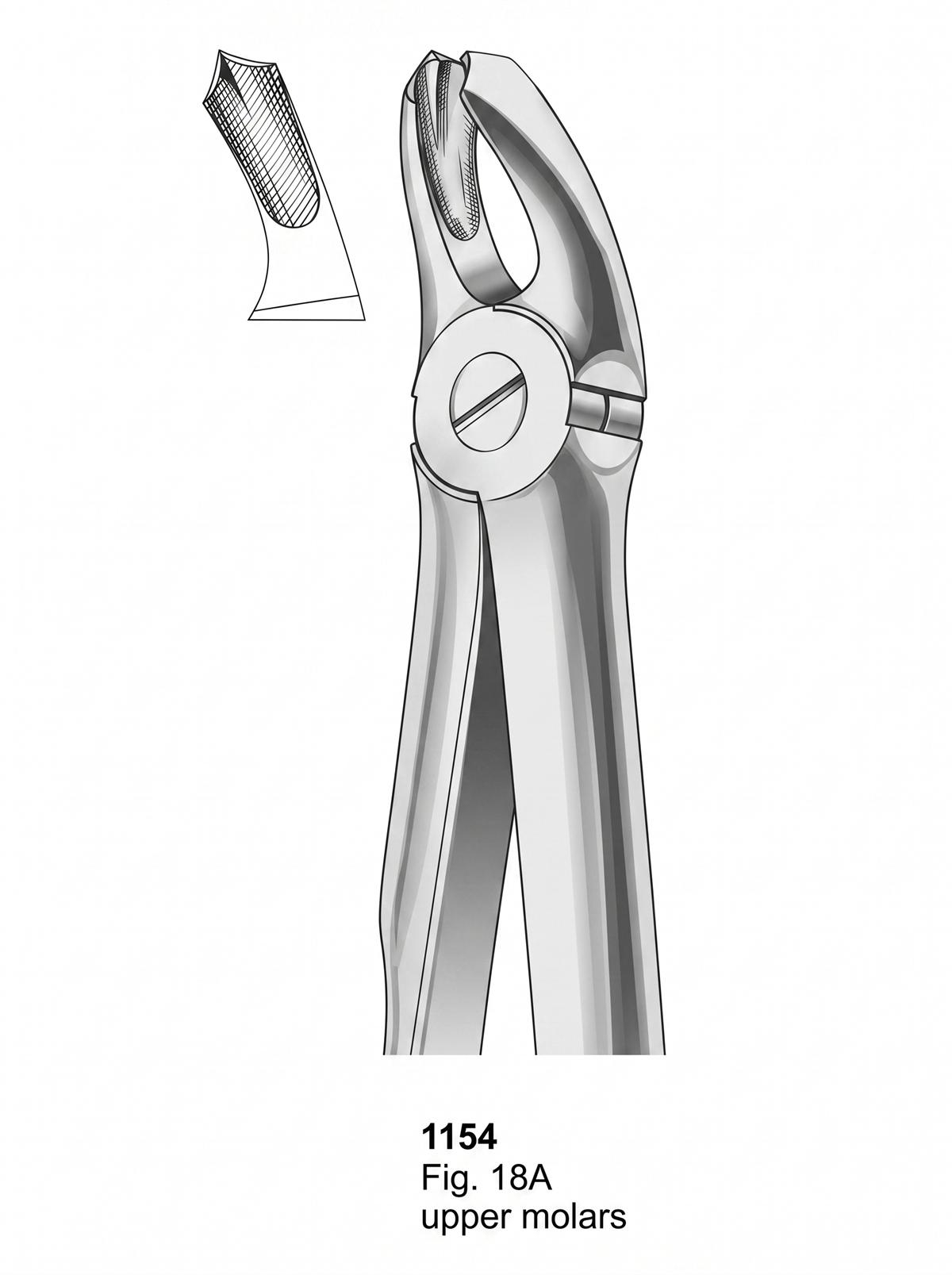 1154 Extracting Forceps With Fitting Handle