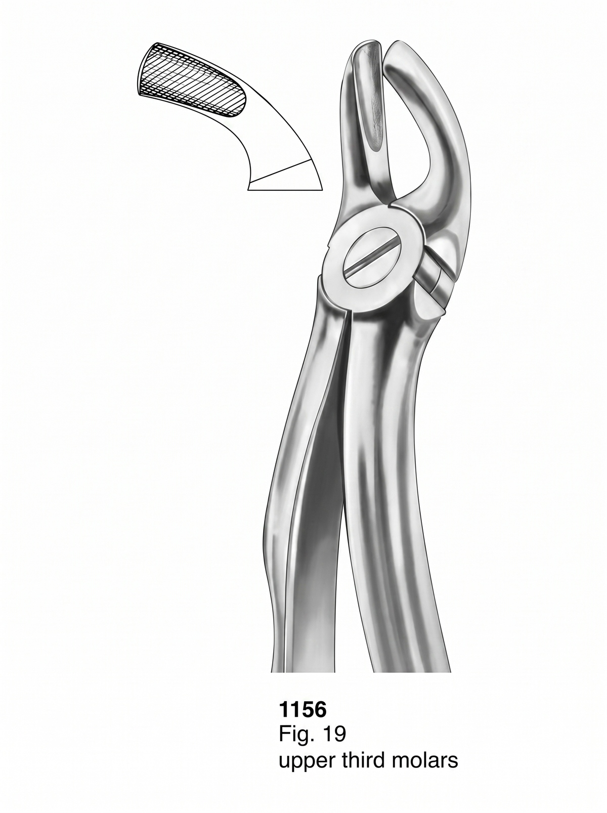 1156 Extracting Forceps With Fitting Handle