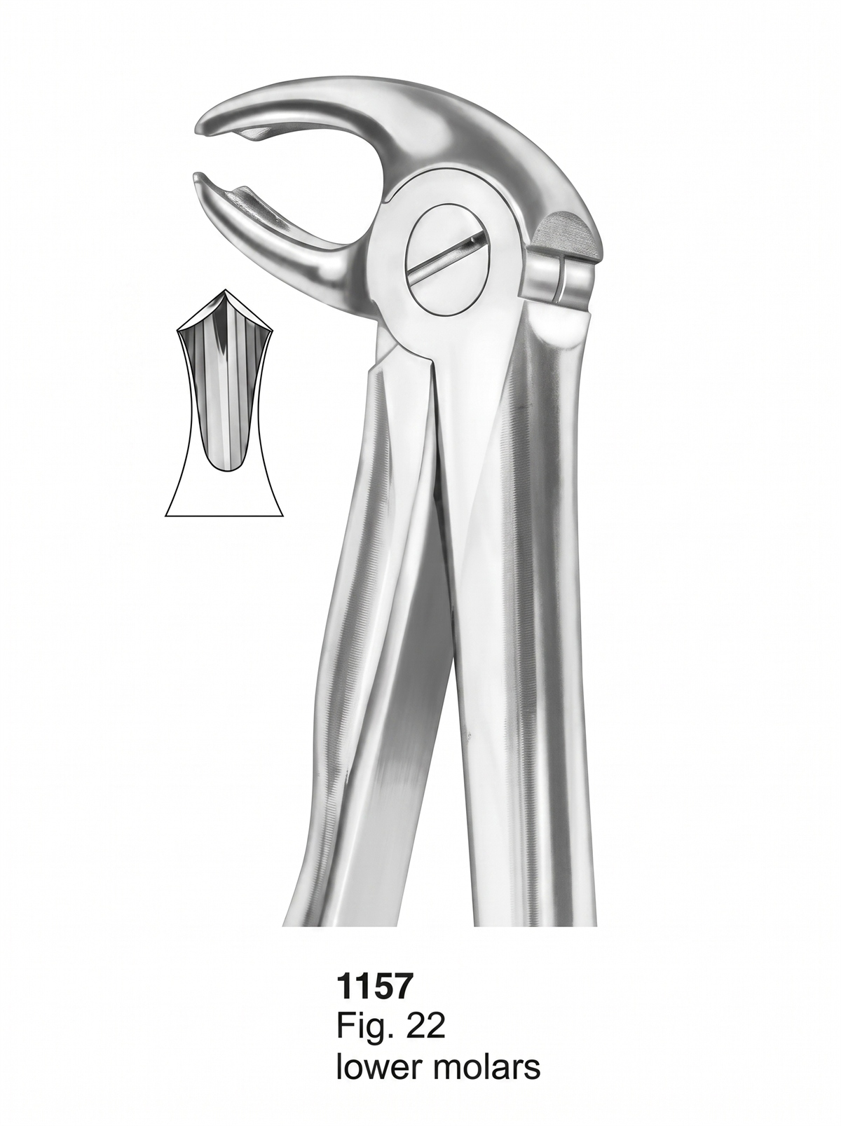 1157 Extracting Forceps With Fitting Handle