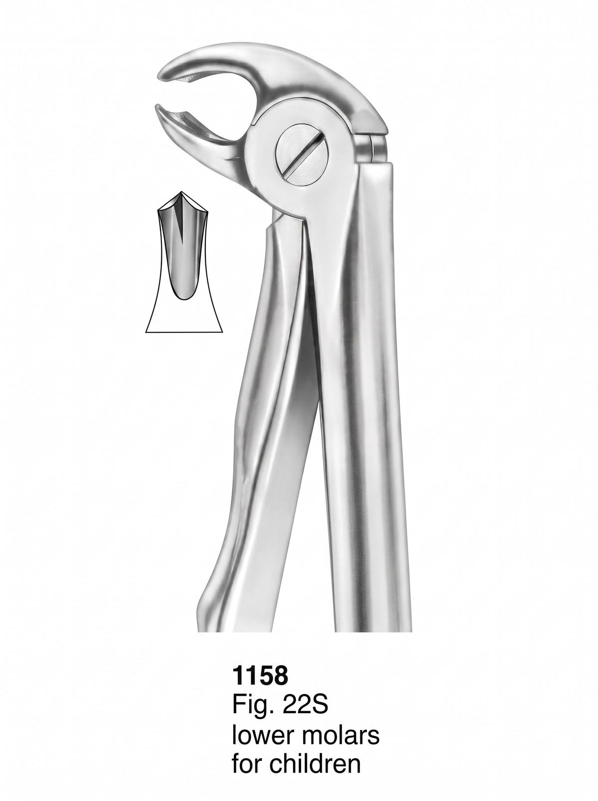 1158 Extracting Forceps With Fitting Handle