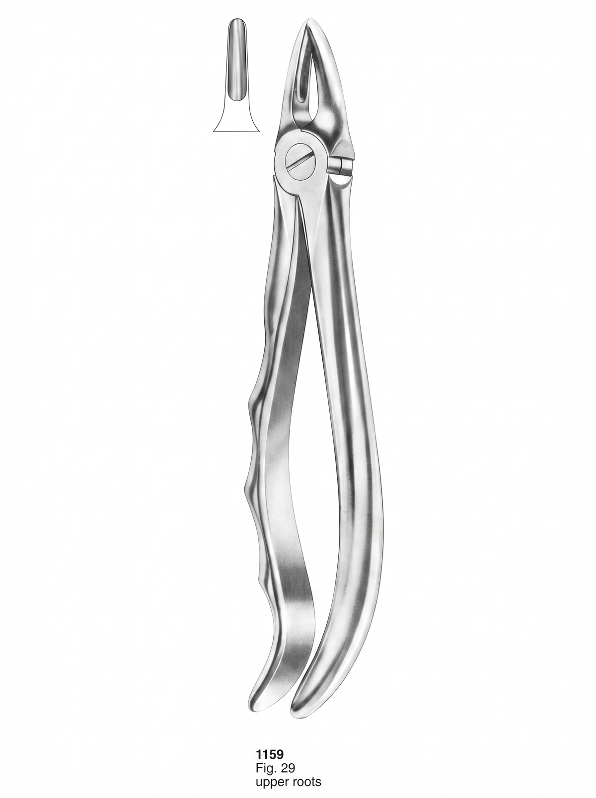 Extracting Forceps With Fitting Handle