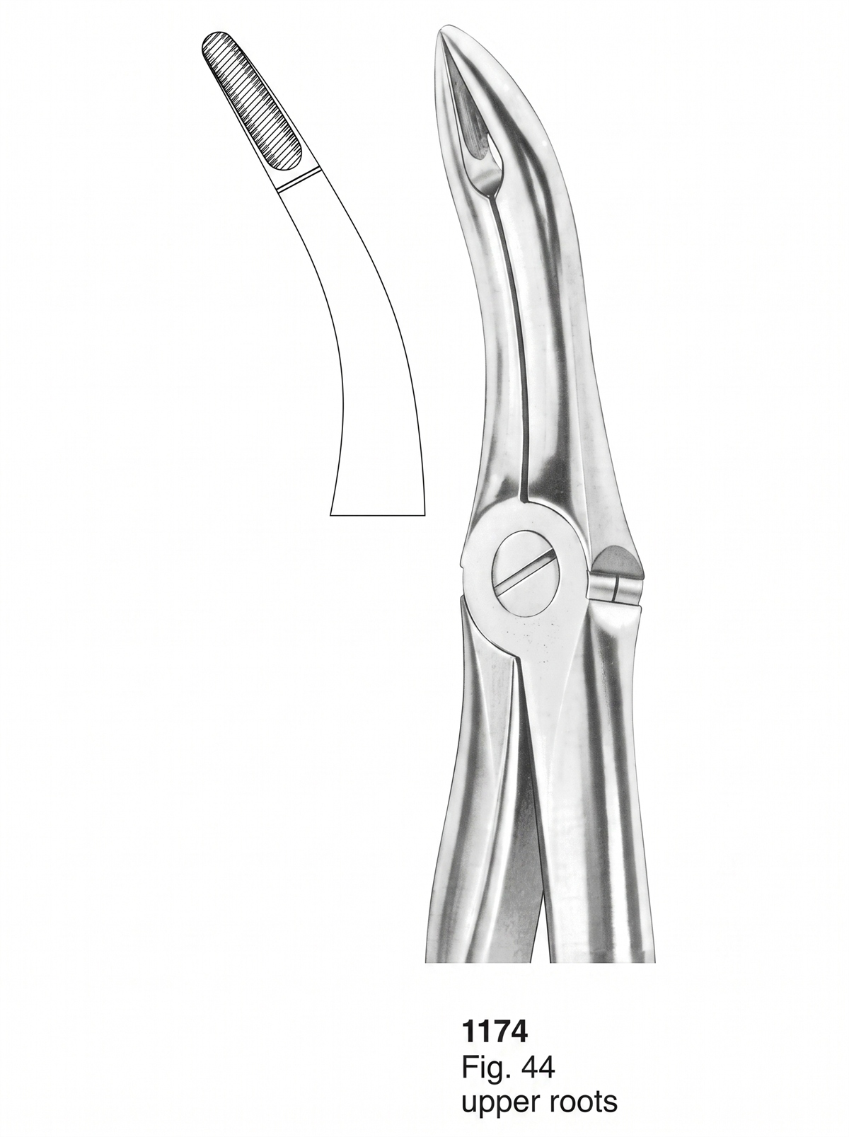 1174 Extracting Forceps With Fitting Handle