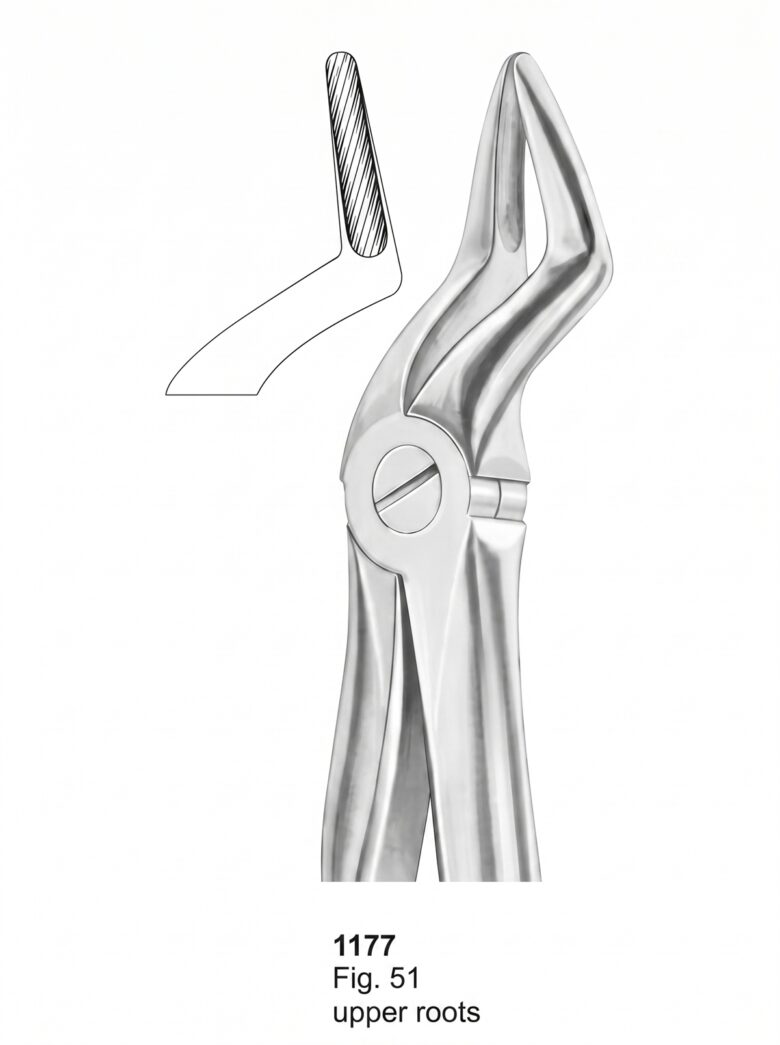 Extracting Forceps With Fitting Handle