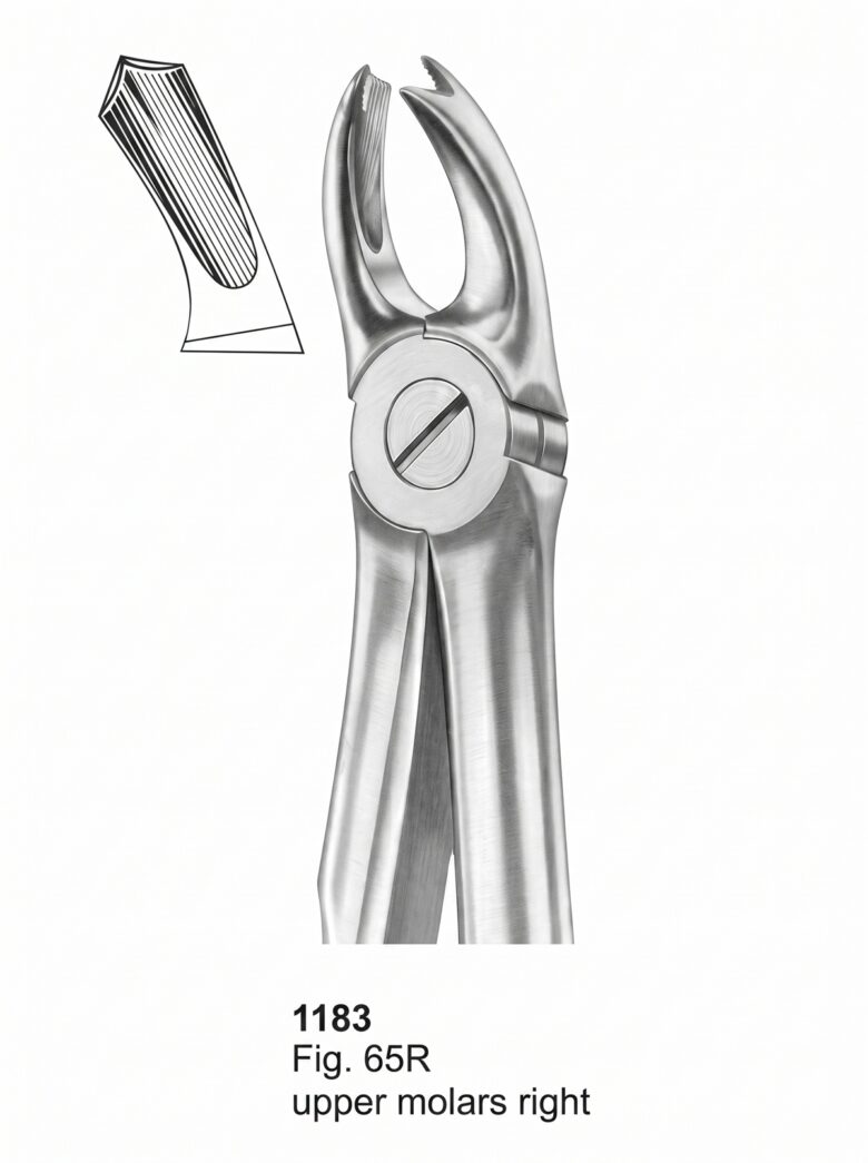 Extracting Forceps With Fitting Handle