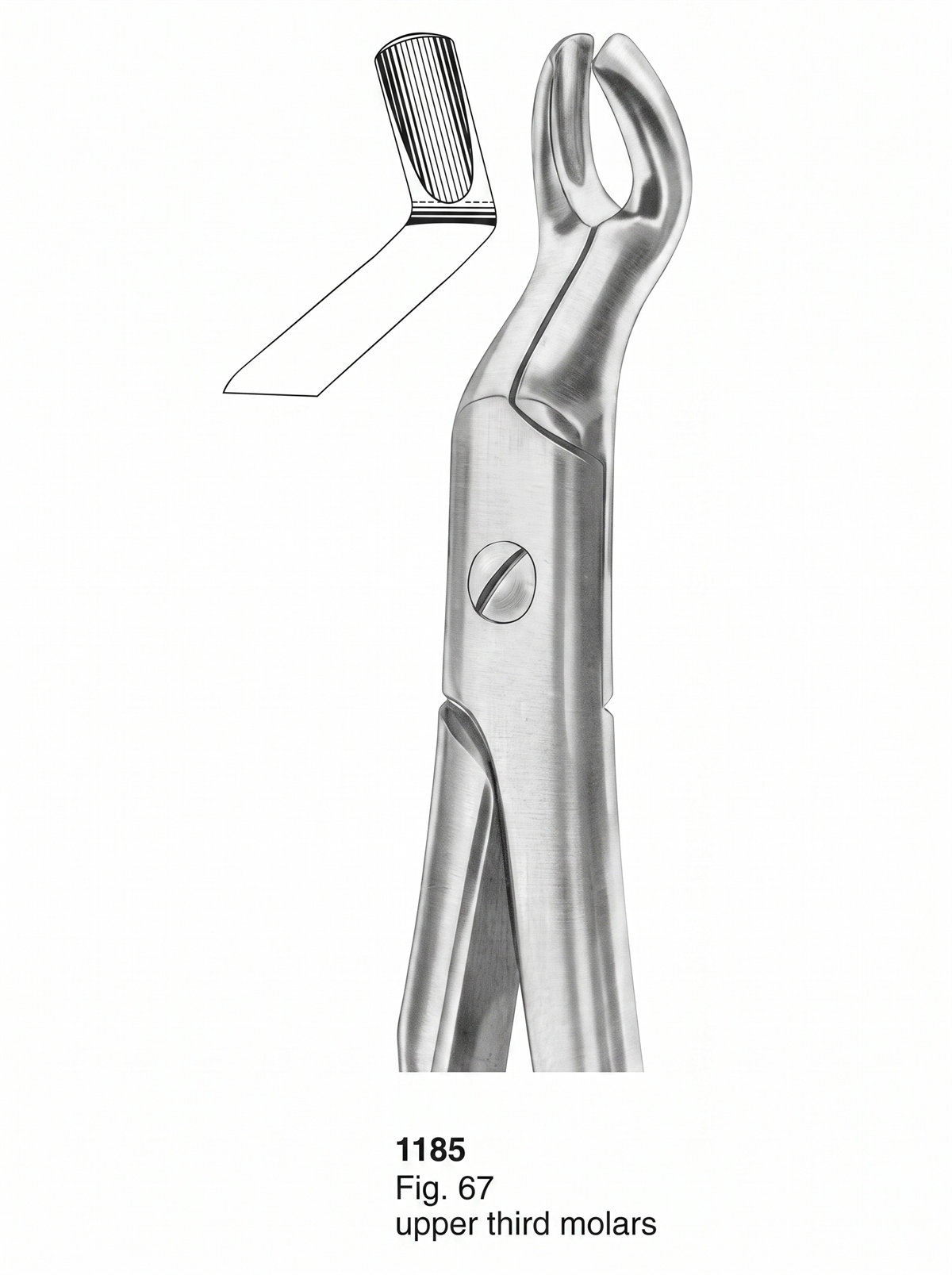 1185 Extracting Forceps With Fitting Handle1