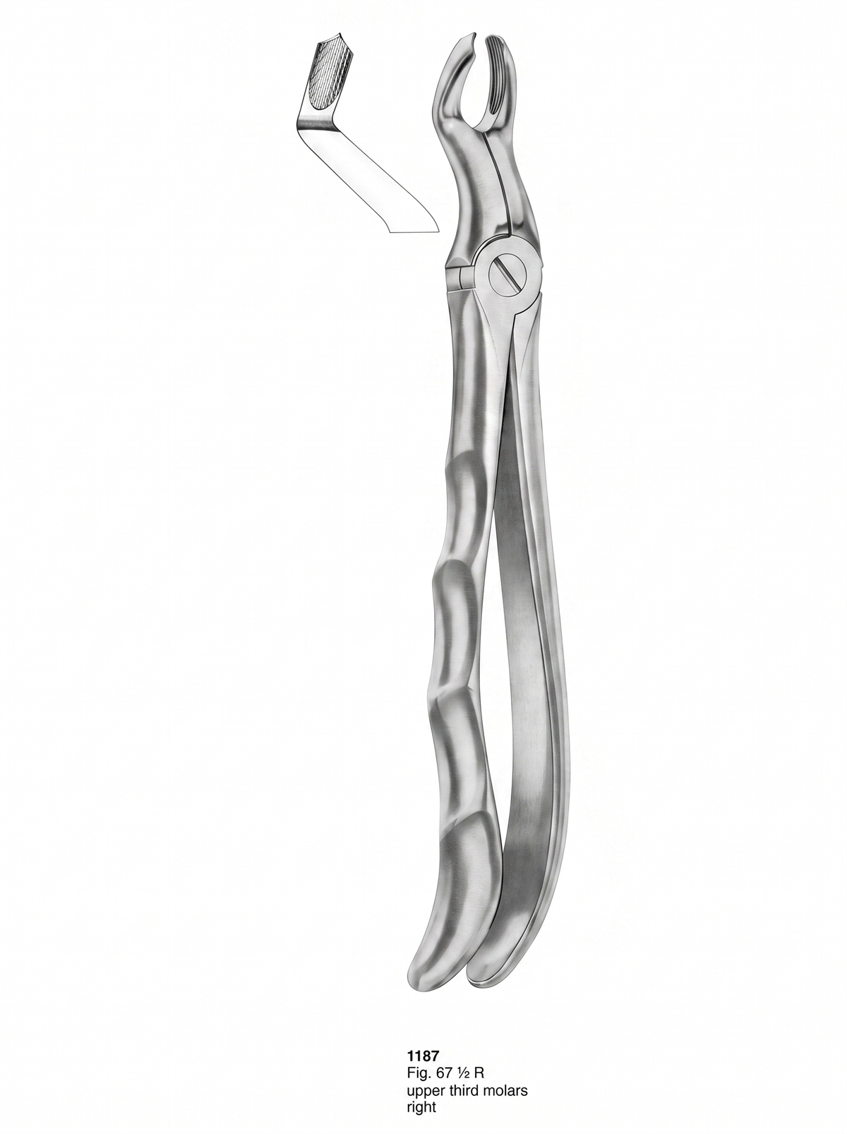 Extracting Forceps With Fitting Handle1