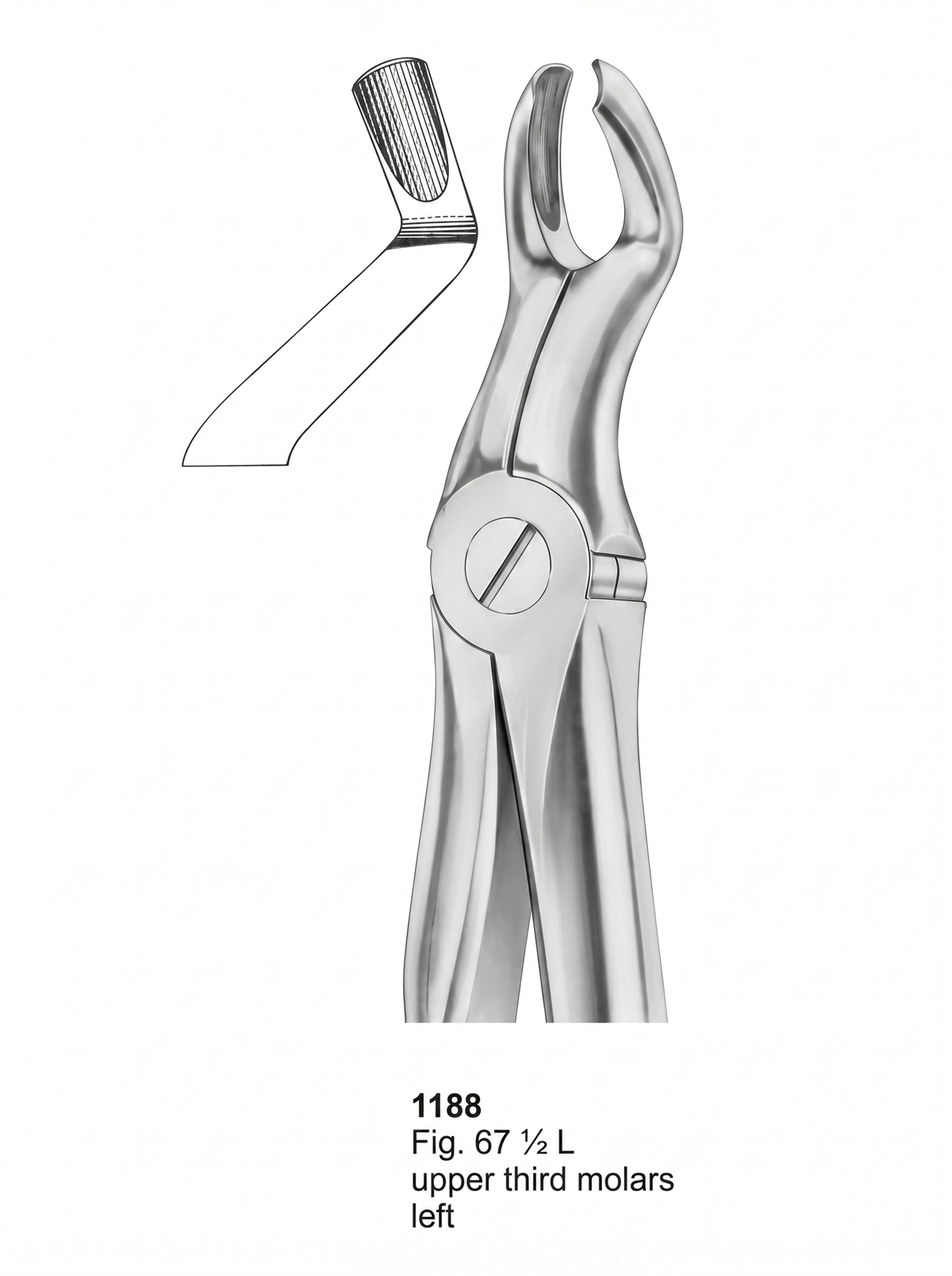 1188 Extracting Forceps With Fitting Handle1