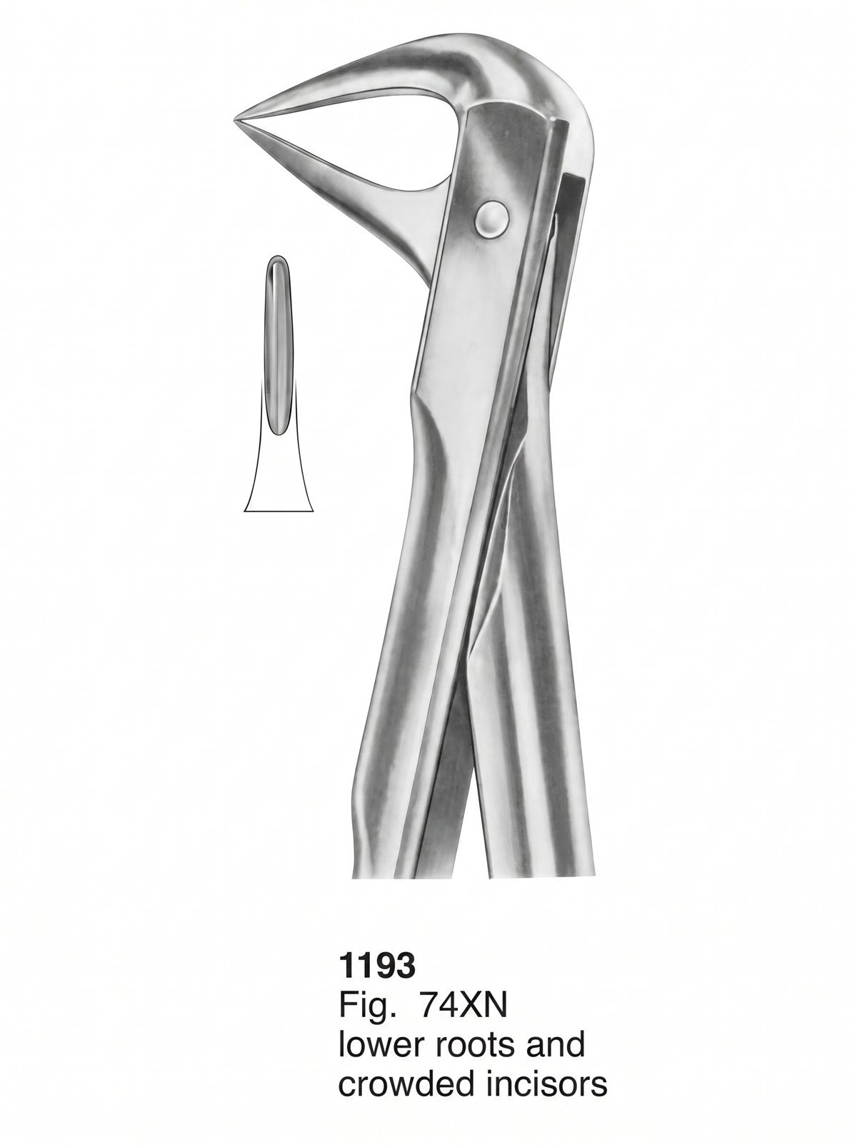 1193 Extracting Forceps With Fitting Handle1