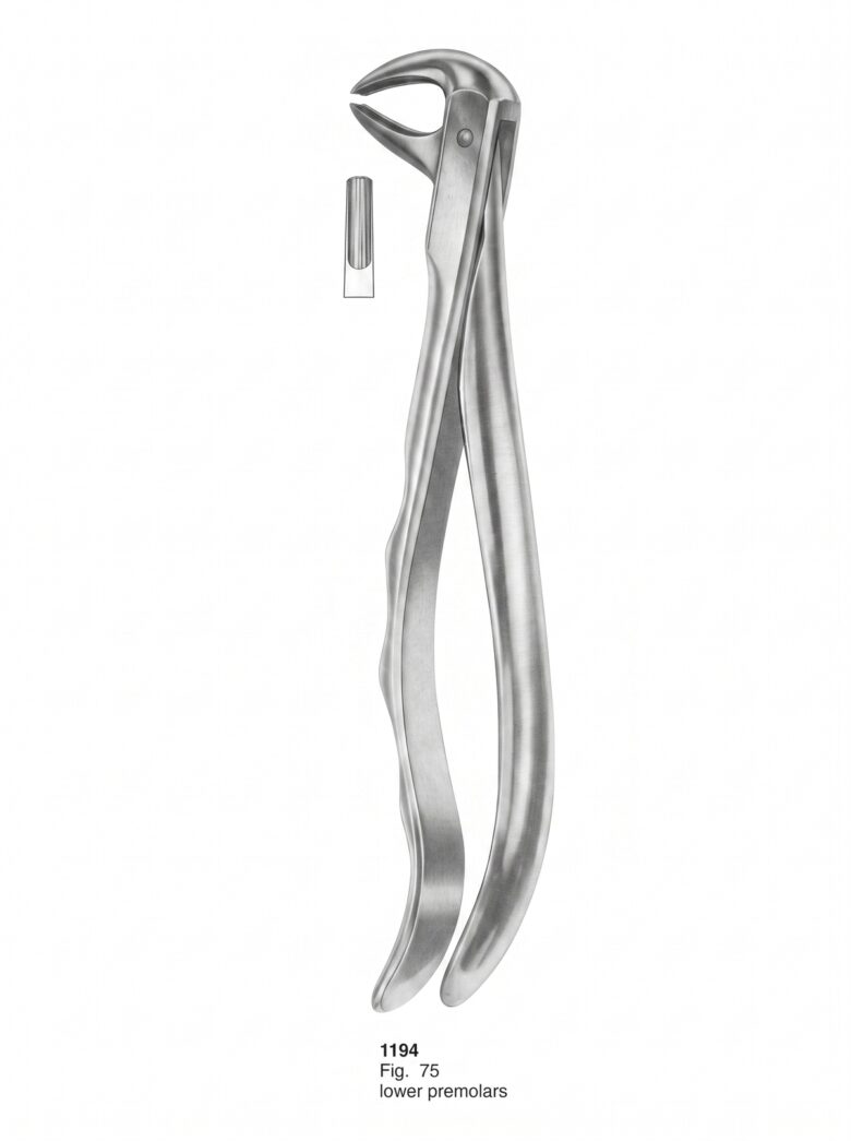 Extracting Forceps With Fitting Handle1