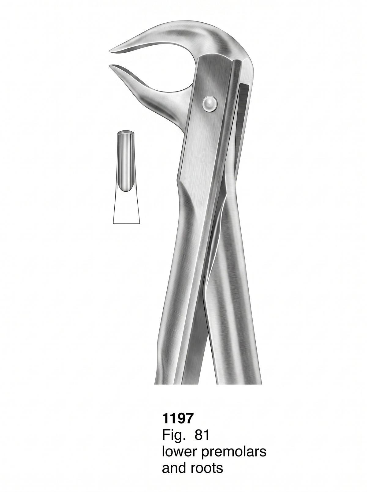 Extracting Forceps With Fitting Handle1