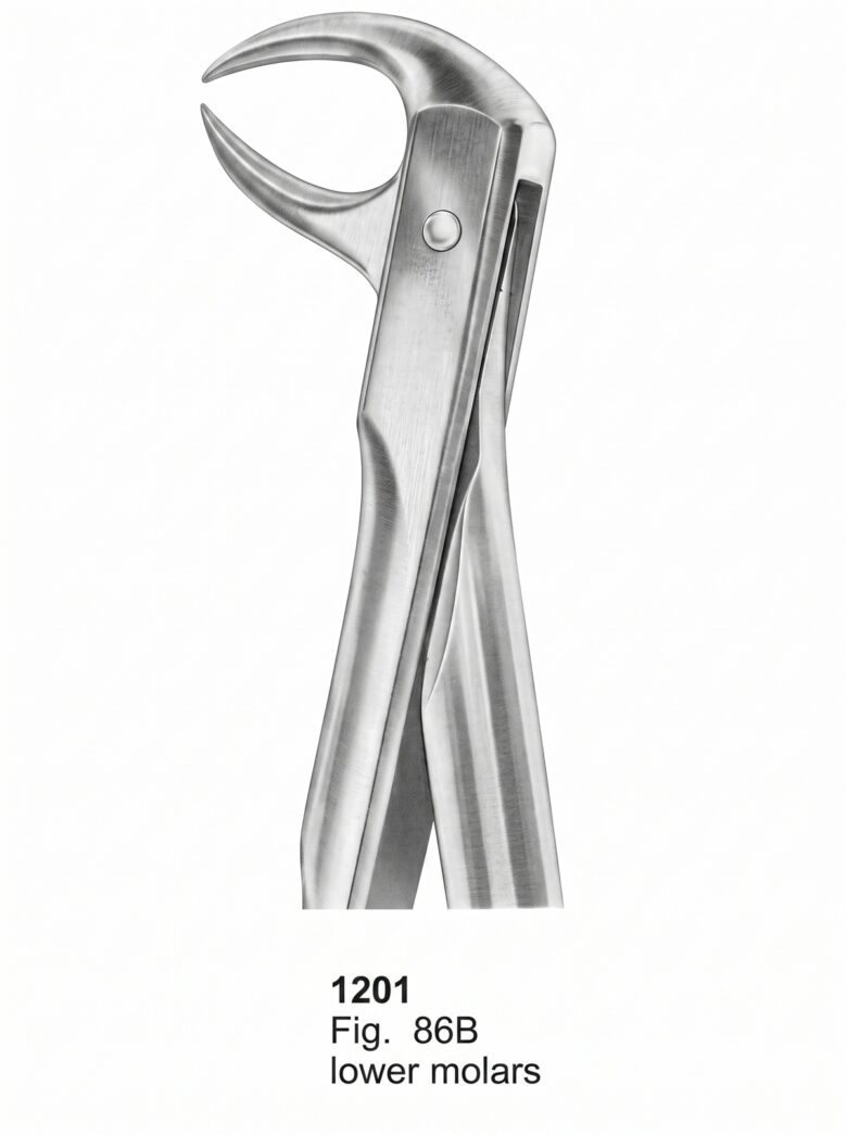 Extracting Forceps With Fitting Handle1