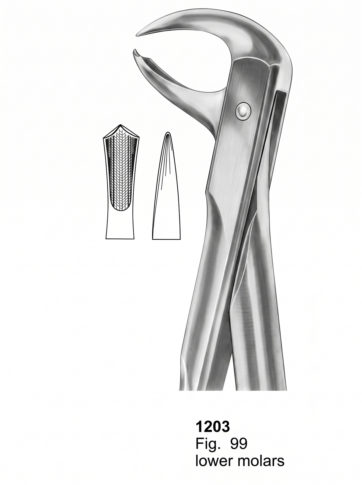 Extracting Forceps With Fitting Handle1