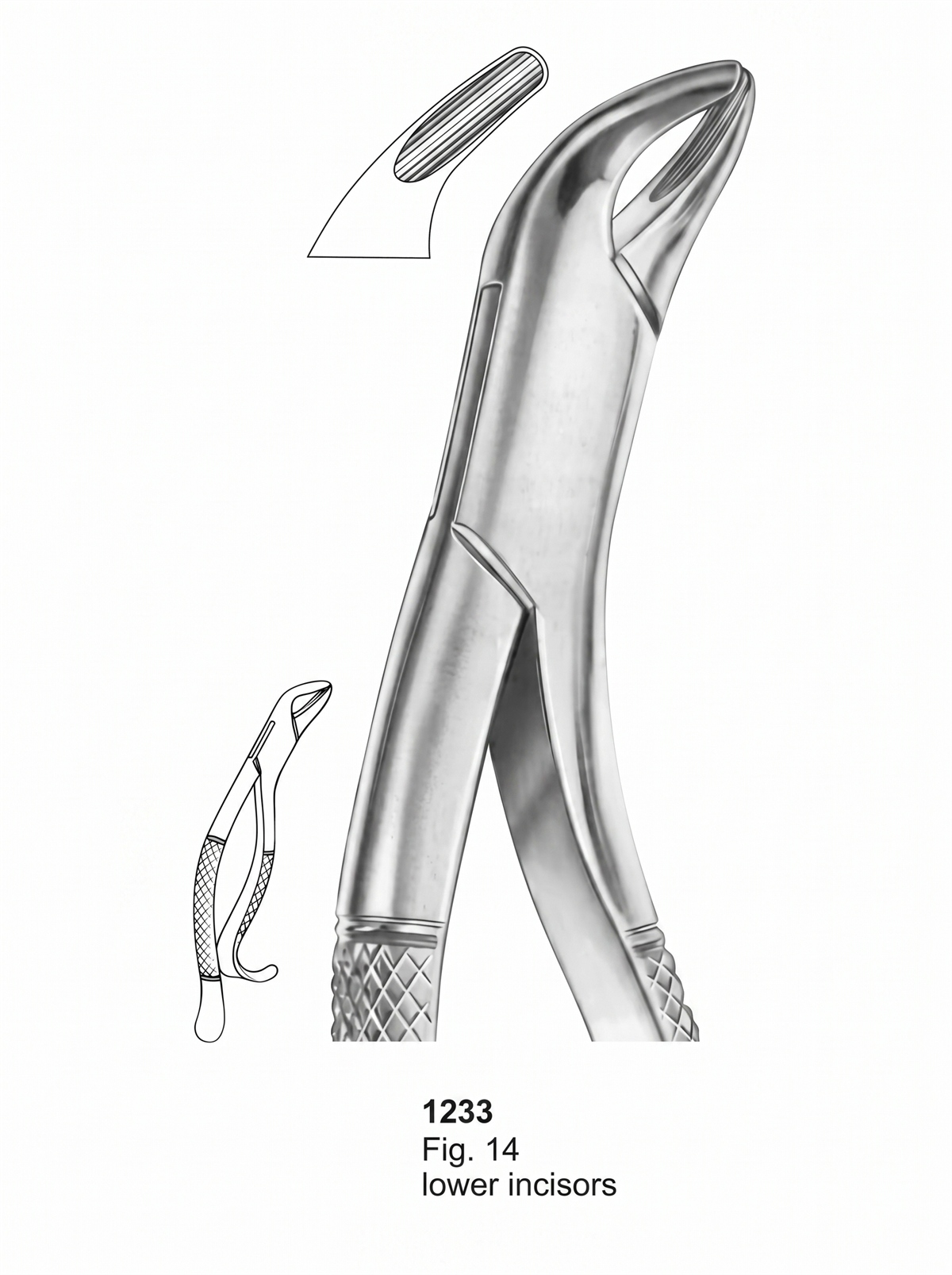 1233 Extracting forceps American Pattern