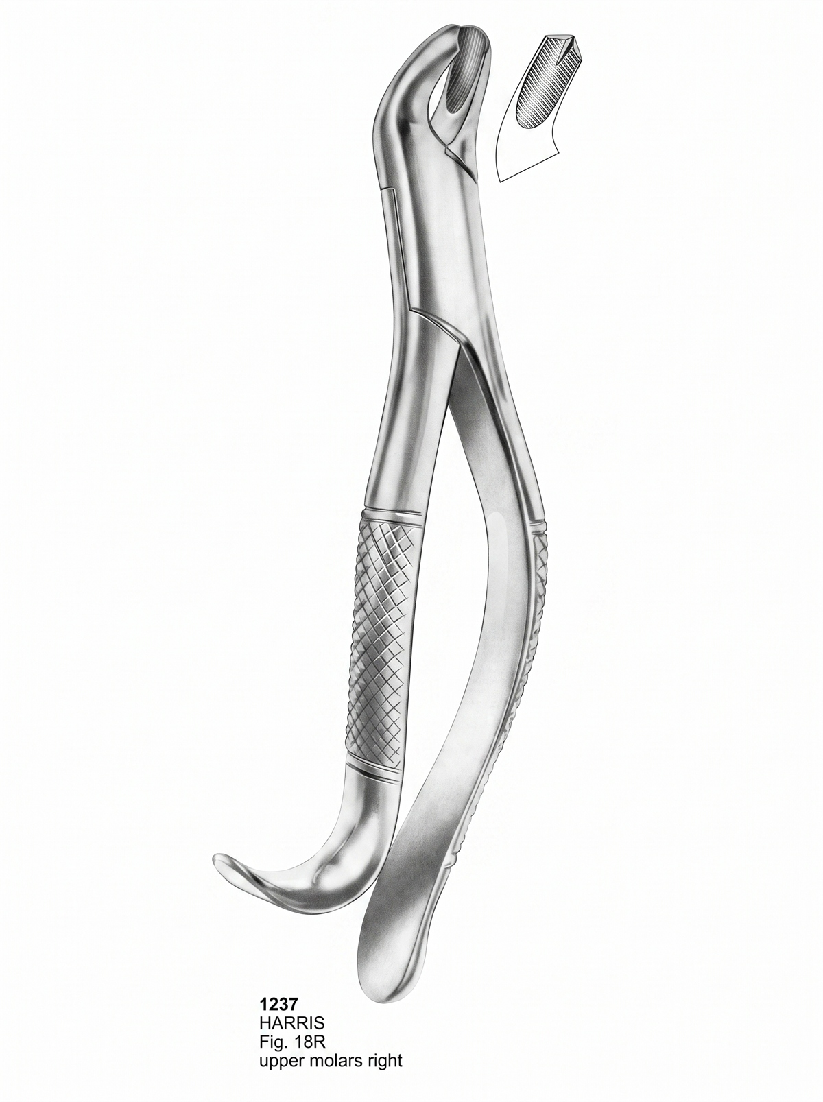 Daviers d'extraction Forme américaine