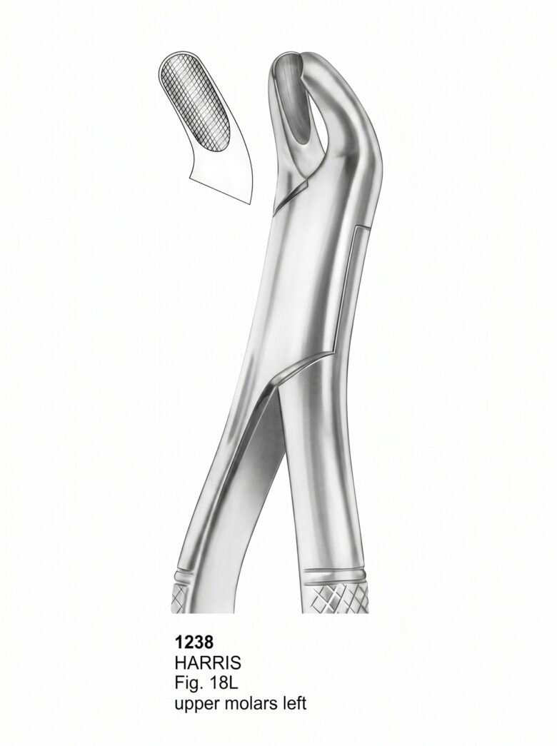 1238 Extracting forceps American Pattern